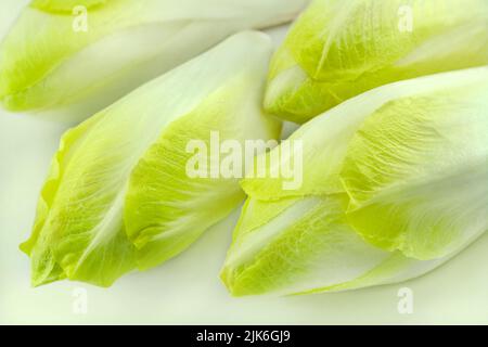 Zichorie auf weißem Hintergrund Nahaufnahme Stockfoto