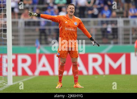 Oldenburg, Deutschland. 31.. Juli 2022. firo : 07/31/2022, Fußball, Fußball, 1. Liga, 1. Bundesliga, Saison 2022/2023, DFB Cup, Bremer SV, Bremen - FC Schalke 04 Alexander Schwolow, Single Action Credit: dpa/Alamy Live News Stockfoto