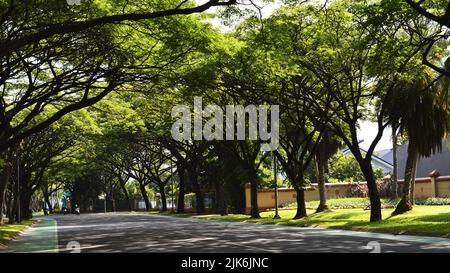 BSD City ist eine Stadt, die um eine Sache herum entworfen wurde, die Menschen, die hier leben, lernen, arbeiten und spielen werden. Stockfoto