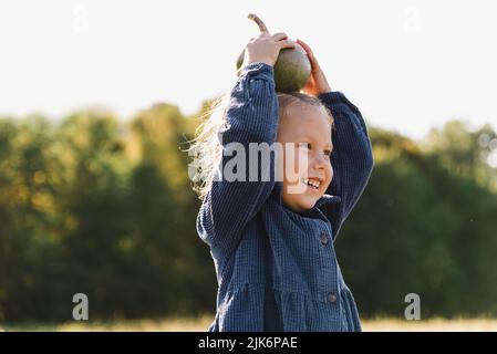 Herbsternte Bio-Kürbisse und Äpfel. Glückliches Mädchen auf Kürbis Patch am kalten Herbsttag, mit vielen Kürbissen für halloween oder Danksagerin Childre Stockfoto