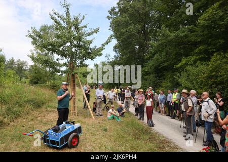 Weimar, Deutschland. 31.. Juli 2022. Der Ministerpräsident Thüringens, Bodo Ramelow (die Linke, l), spricht während eines gedenkmarsches vom Hauptbahnhof entlang der ehemaligen Strecke der Buchenwaldbahn an dem Ort, an dem im Juli sieben Gedenkbäume für KZ-Opfer niedergesägt wurden. Jetzt erinnern Steine an jüdische Jugendliche, die 1944 von den Nazis aus dem KZ Buchenwald bei Weimar in das Vernichtungslager Auschwitz deportiert wurden. Kredit: Bodo Schackow/dpa/Alamy Live Nachrichten Stockfoto