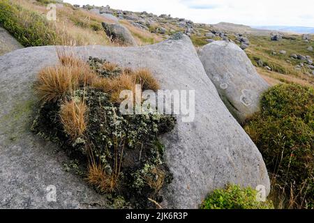 Die Woolpacks, ein markanter Felsvorsprung am Rande des Kinder-Plateaus im Derbyshire Peak District. Stockfoto