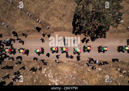 Barzan, Irak. 31.. Juli 2022. Kurdische Männer tragen Särge mit den Überresten von 100 Barzani-Opfern, die Ende 1980s bei den Anfal-Operationen getötet wurden, und werden auf dem Anfal-Friedhof in Barzan begraben. Das Regime des baathistischen Irak unter Führung von Saddam Hussein hat Ende 1980s gewalttätige Operationen gegen die Kurden durchgeführt, bei denen mindestens 182.000 Tote und 90 % der kurdischen Dörfer zerstört wurden. Quelle: Ismael Adnan/dpa/Alamy Live News Stockfoto