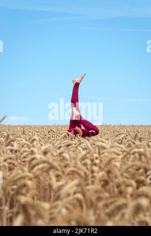 Frau, die im Sommer auf einem Weizenfeld einen Kopfstand macht. Stockfoto
