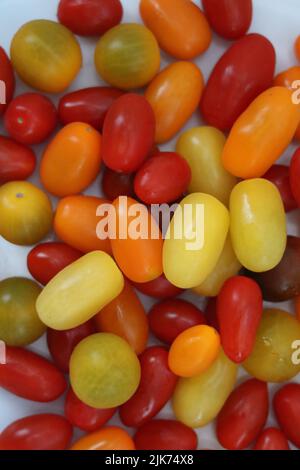 Hintergrund mit verschiedenen roten, orangefarbenen und gelben Tomaten im Vollformat Stockfoto