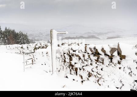 Trockenmauern und Wegweiser mit Schneeverwehungen bedeckt, Wensleydale, North Yorkshire, Großbritannien. Stockfoto