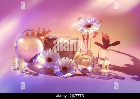 Biophilia Design Hintergrund. Weiße Gerbera, exotische Blätter. Blumen, Gläser aus transparentem Glas, Flaschen, Fläschchen. Stockfoto