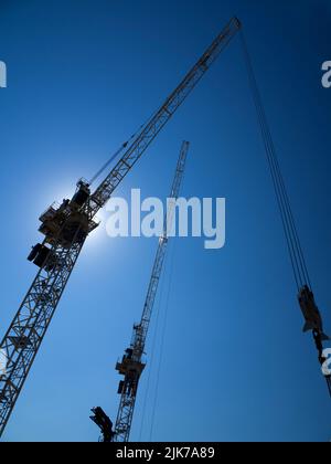 Diese Mammutkrane arbeiten auf der Baustelle für eine neue Life and Mind-Entwicklung der Oxford University in South Parks Road. Viele der Universit Stockfoto