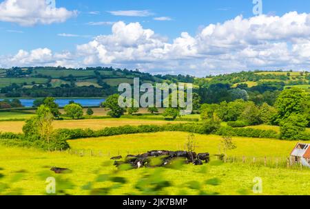 Ackerland in der Nähe von Ubley - ein kleines Dorf und eine zivile Gemeinde im Chew Valley in Bath und North East Somerset, am Blagdon Lake, Juli 2022 Stockfoto