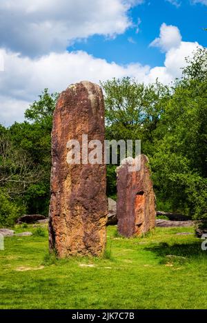 Höchster Menhir im Wald bei Monteneuf, Morbihan, Frankreich Stockfoto