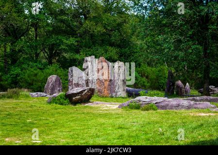 Menhire Ausrichtung im Wald von Monteneuf, Bretagne, Frankreich Stockfoto