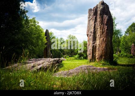 Gefallener und stehender Menhir im Wald von Monteneuf Stockfoto