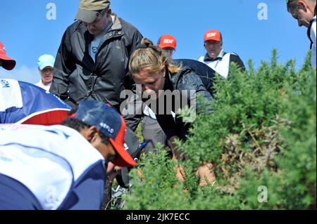 Ayrshire, Großbritannien. 31.. Juli 2022. Schottische Damen Open Golf. Letzter Tag, 31/07/22. Dundonald Links, Ayrshire. Kredit: CDG/Alamy Live Nachrichten Stockfoto