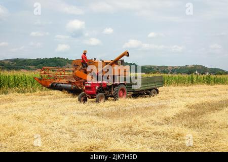 Weizen wurde mit einem Mähdrescher aus dem Land geerntet und in einen Ladewagen gedumpt. Stockfoto