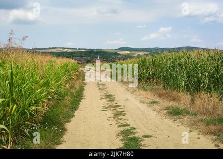 Blick auf eine Landstraße, die zu einem Dorf in den Hügeln von Siebenbürgen, Rumänien, führt Stockfoto