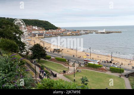 Scarborough direkt am Meer mit South Bay Beach, Hafen und Leuchtturm von Klippengärten Stockfoto