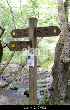 Hölzerner Fußweg Wegweiser in Yorkshire Country Forest mit Wegbeschreibungen zu lokalen Zielen Stockfoto