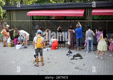 Odessa, Ukraine. 31.. Juli 2022. Erwachsene und Kinder werden während der Veranstaltung gesehen, wie sie ein Tarnnetz für das Militär weben. "Mein Land Ukraine" eine Wohltätigkeitsveranstaltung fand während eines Urlaubs im Sommertheater des Stadtgartens statt. Das Ziel war es, Mittel für die Bedürfnisse der Streitkräfte der Ukraine zu sammeln. Kredit: SOPA Images Limited/Alamy Live Nachrichten Stockfoto