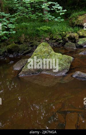 Moosbewachsener Felsbrocken in einem ruhigen Waldbach mit üppiger grüner Vegetation Stockfoto