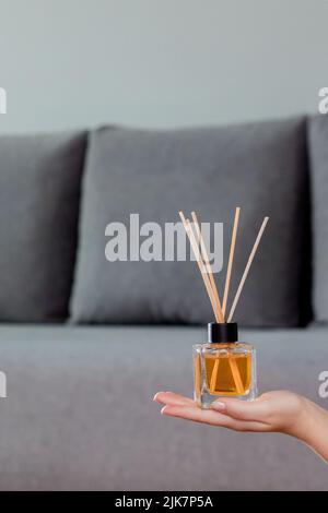 Aromatische Rohrluftreiniger Frau, die auf dem Hintergrund des Zimmers in der Hand hält. Aromadiffusor. Lufterfrischer für Zuhause Stockfoto