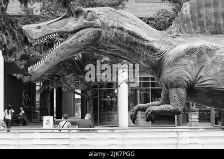 Leeds Jurassic Trail Stockfoto