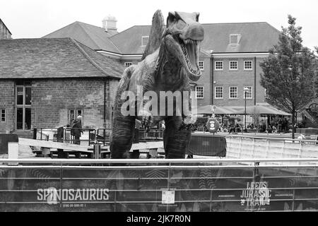 Leeds Jurassic Trail Stockfoto