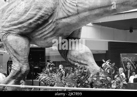 Leeds Trinity Shopping Centre Jurassic Trail 2022 Stockfoto