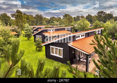 Ferienbungalow Park mit identischen Hütten in symmetrischer Reihenfolge in grüner Waldgegend. Holzchalets mit orangefarbenen Dachziegeln in Gras und Büschen. N Stockfoto