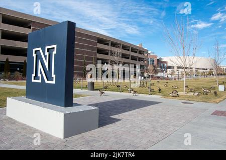 Die Universität von Nevada, Reno, hat einen schönen Campus, einschließlich der Bibliothek und Studentenvereinigung. Stockfoto
