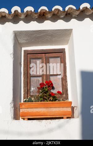 Raposeira, Portugal. 20.. Juli 2022. In einem Dorf an der Algarve wächst eine Geranie in einer Blumenkäste, die auf der Fensterbank vor einem geschlossenen Fenster steht. Quelle: Viola Lopes/dpa/Alamy Live News Stockfoto