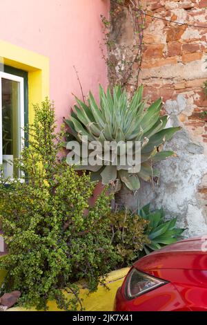 Raposeira, Portugal. 20.. Juli 2022. Agaven wachsen vor einer Wand, davor steht ein rotes Auto. Quelle: Viola Lopes/dpa/Alamy Live News Stockfoto