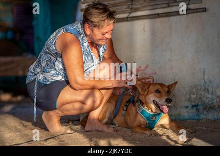 Ein Tierrettungshelfer streichelt einen geretteten Straßenhund Stockfoto