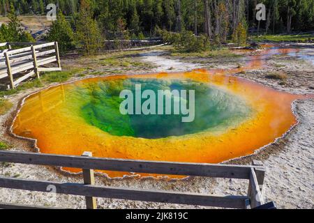 Detailreiche Aufnahme des Morning Glory Pools im Yellowstone National Park, Wyoming, USA. Stockfoto