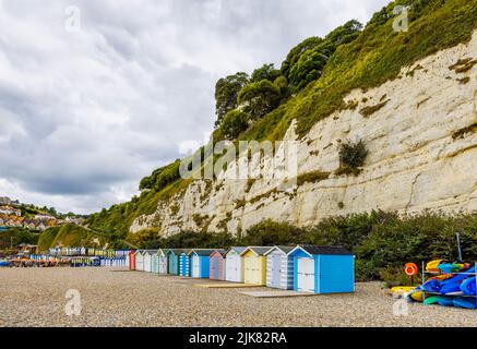 Eine Reihe von Strandhütten am Fuße der Kreidefelsen bei Beer, einem kleinen Küstendorf an der Lyme Bay an der Jurassic Coast of East Dorset, Südwestengland Stockfoto