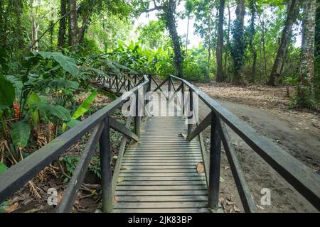 Weg auf dem Weg nach Arrecifes im Nationalpark Tayrona in Kolumbien Stockfoto