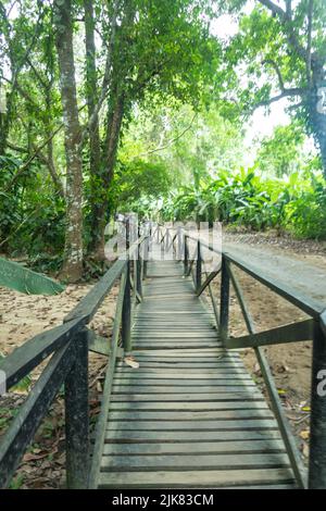 Holzweg im Nationalpark Tayrona in Kolumbien Stockfoto