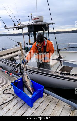 Langara Island, British Columbia, Kanada - 1. Juni 2022: Angelführer mit Fang des Tages auf dem Yachthafen und Dock der Langara Fishing Lodge Stockfoto