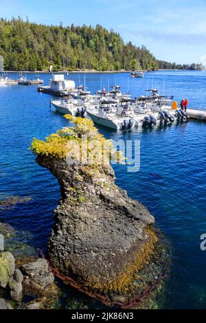 Langara Island, British Columbia, Kanada - 30. Mai 2022: Blick auf den Yachthafen und den Hafen der Langara Fishing Lodge auf der Insel Langara, Haida Gwaii, Stockfoto