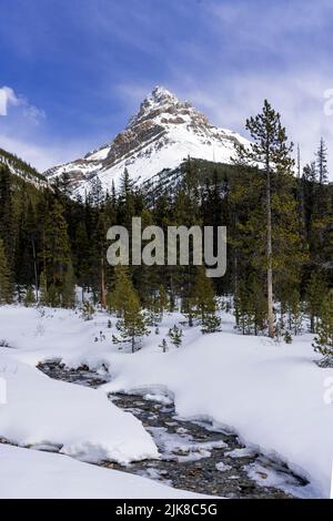 Ein Blick auf die Berge mit einem Bach entlang des Icefields Parkway, Banff National Park, Alberta, Kanada. Stockfoto