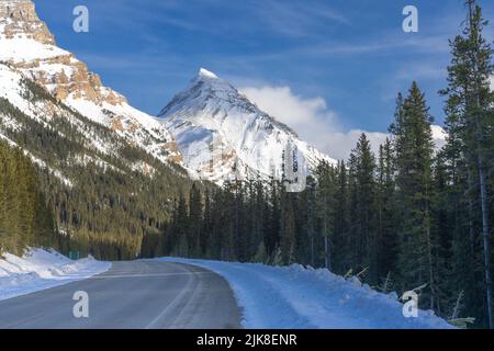 Eine malerische Aussicht auf die Berge entlang des Icefields Parkway, Banff National Park, Alberta, Kanada. Stockfoto