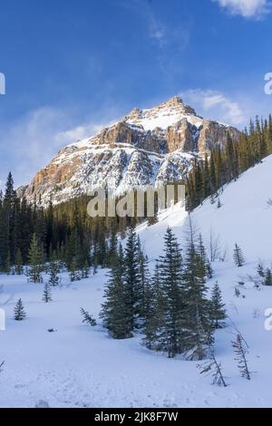 Eine malerische Aussicht auf die Berge entlang des Icefields Parkway, Banff National Park, Alberta, Kanada. Stockfoto