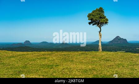 Ein Aussichtspunkt am Tree Hill mit der Glass House-Bergkette im Hintergrund, Queensland, Australien Stockfoto