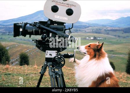 Filmkamera & Lassie Film: Lassie (1994) Regie: Daniel Petrie 22 July 1994 **WARNUNG** Dieses Foto ist nur für redaktionelle Zwecke bestimmt und unterliegt dem Copyright von PARAMOUNT und/oder des Fotografen, der von der Film- oder Produktionsfirma beauftragt wurde und darf nur von Publikationen im Zusammenhang mit der Bewerbung des oben genannten Films reproduziert werden. Eine obligatorische Gutschrift an PARAMOUNT ist erforderlich. Der Fotograf sollte auch bei Bekanntwerden des Fotos gutgeschrieben werden. Ohne schriftliche Genehmigung der Film Company kann keine kommerzielle Nutzung gewährt werden. Stockfoto