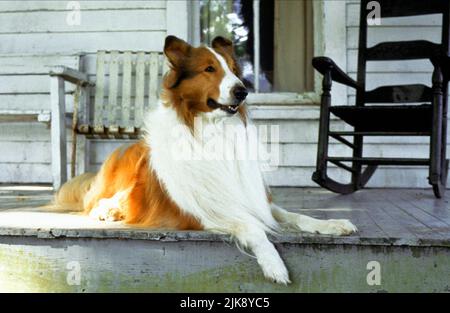 Lassie Film: Lassie (1994) Regie: Daniel Petrie 22 July 1994 **WARNUNG** Dieses Foto ist nur für den redaktionellen Gebrauch bestimmt und unterliegt dem Copyright von PARAMOUNT und/oder des Fotografen, der von der Film- oder Produktionsfirma beauftragt wurde und kann nur durch Publikationen im Zusammenhang mit der Bewerbung des oben genannten Films reproduziert werden. Eine obligatorische Gutschrift an PARAMOUNT ist erforderlich. Der Fotograf sollte auch bei Bekanntwerden des Fotos gutgeschrieben werden. Ohne schriftliche Genehmigung der Film Company kann keine kommerzielle Nutzung gewährt werden. Stockfoto