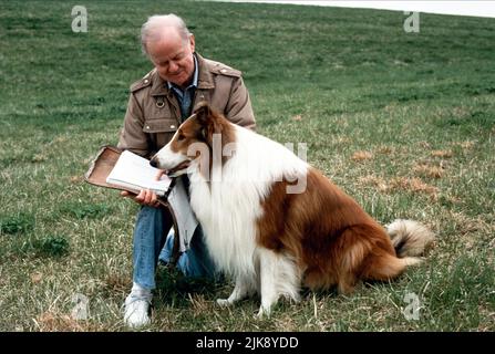 Daniel Petrie & Lassie Film: Lassie (1994) Regie: Daniel Petrie 22 July 1994 **WARNUNG** Dieses Foto ist nur für redaktionelle Zwecke bestimmt und unterliegt dem Copyright von PARAMOUNT und/oder des Fotografen, der von der Film- oder Produktionsfirma beauftragt wurde und darf nur von Publikationen im Zusammenhang mit der Bewerbung des oben genannten Films reproduziert werden. Eine obligatorische Gutschrift an PARAMOUNT ist erforderlich. Der Fotograf sollte auch bei Bekanntwerden des Fotos gutgeschrieben werden. Ohne schriftliche Genehmigung der Film Company kann keine kommerzielle Nutzung gewährt werden. Stockfoto