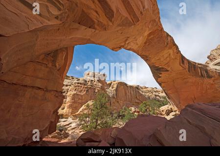 Natural Bridge als Wüstenfenster an der Hickman Natural Bridge im Capitol Reef National Park in Utah Stockfoto