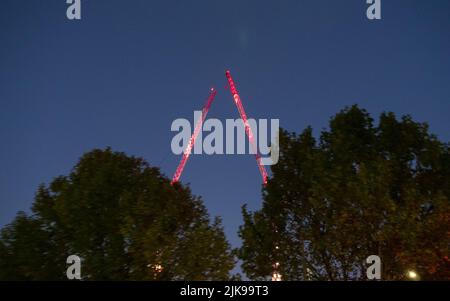 Zwei Kraniche treffen sich in der Nacht, rot-weißer Kranich, Nachthimmel, Bäume, Australien Stockfoto