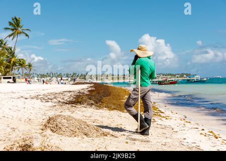 Dominikanische Republik Bavaro Punta cana Provinzen La Altagracia. Algen am Strand. Algensargassum. Karibisches Umweltproblem. Stockfoto