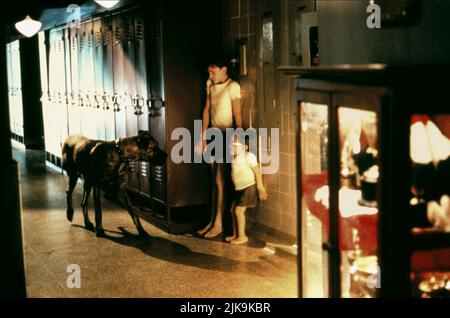 Joseph Mazzello & Ian Michael Smith Film Simon Birch (1998) Charaktere: Joe Wenteworth & Simon Birch Regie: Mark Steven Johnson 11. September 1998 **WARNUNG** dieses Foto ist nur für redaktionelle Zwecke bestimmt und unterliegt dem Copyright von BUENA VISTA und/oder dem Fotografen, der von der Film or Production Company zugewiesen wurde. Es kann nur durch Veröffentlichungen in Verbindung mit der Werbung für den oben genannten Film reproduziert werden. Es ist eine obligatorische Gutschrift für BUENA VISTA erforderlich. Der Fotograf sollte ebenfalls angerechnet werden, wenn er bekannt ist. Ohne schriftliche Genehmigung der Film Company kann keine kommerzielle Nutzung gewährt werden. Stockfoto