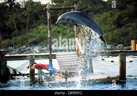 Elijah Wood & Dolphin Film: Flipper (USA 1996) Figuren: Sandy Ricks & Regie: Alan Shapiro 17 May 1996 **WARNUNG** Dieses Foto ist nur für den redaktionellen Gebrauch bestimmt und unterliegt dem Copyright von UNIVERSAL und/oder dem Fotografen, der von der Film- oder Produktionsfirma beauftragt wurde und darf nur von Publikationen im Zusammenhang mit der Bewerbung des oben genannten Films reproduziert werden. Eine obligatorische Gutschrift an UNIVERSAL ist erforderlich. Der Fotograf sollte auch bei Bekanntwerden des Fotos gutgeschrieben werden. Ohne schriftliche Genehmigung der Film Company kann keine kommerzielle Nutzung gewährt werden. Stockfoto